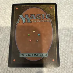 Wizards of the Coast MTG Enchantress's Presence Foil English #261/350 - Image 5