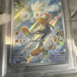 2024 POKEMON SCR EN-STELLAR CROWN #147 RABOOT ILLUSTRATION RARE PSA 10 Mint Card - Image 3
