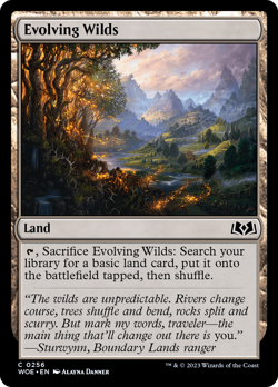 x1 Evolving Wilds WOE MTG 256 COMMON M/NM 1x - Image 1
