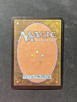 Evolving Wilds - LP - Rise of the Eldrazi - mtg - Image 2