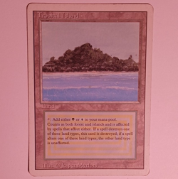 Magic: The Gathering Tropical Island Revised Edition Land English Rare Regular - Image 1
