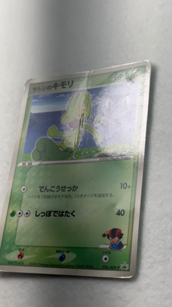 Pokemon Japanese Ash's Treecko 036/ADV-P Promo HP TCG - Image 2