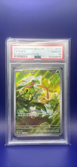 Pokemon TCG SV 151 Caterpie 172/165 Illustration Rare Holo English PSA 10 - Image 1