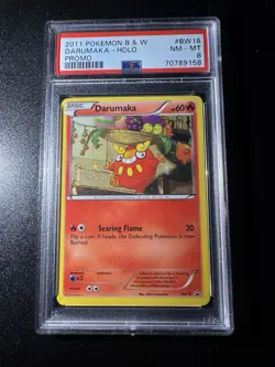PSA 8 Darumaka Cosmos Holo Foil NM-MINT Promo 2011 B&W - BW18 - Pokemon Card TCG - Image 2