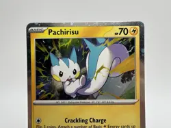 Pokemon Scarlet & Violet Promos Pachirisu #158 Black Star Promo Pokemon TCG NM - Image 2