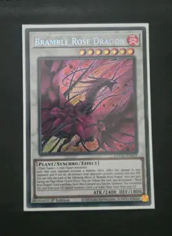 Bramble Rose Dragon DOOD-EN039 Secret Rare 1st Edition NM Yugioh - Image 1