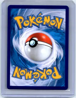 Pokemon Card Ice Rider Calyrex VMAX RRR 028/070 S6H Silver Lance Rare Chinese - Image 2