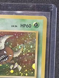 Japanese Pinsir No. 127 | Base Set Jungle | Holo Pokemon Card - Image 4