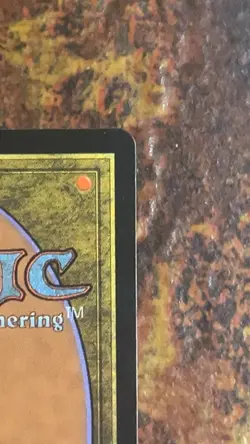 Rhystic Study - Prophecy - MTG LP - Japanese - Image 4