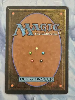 Merchant Scroll - Homelands - Magic the Gathering - MTG - Light Play - Image 2