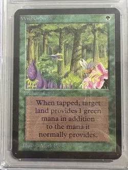 Magic: The Gathering Limited Edition Alpha Wild Growth - CGC 10 Gem Mint - Image 2