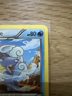 Wartortle - 15/101 - Non-Holo - BW Plasma Blast - VLP/NM - Pokemon Card - Image 3