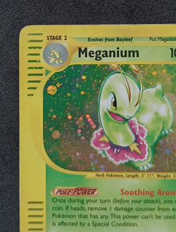 Pokemon TCG Meganium 18/165 Expedition Base Set Holo Rare Card Vintage WOTC - MP - Image 3
