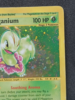Pokemon TCG Meganium 18/165 Expedition Base Set Holo Rare Card Vintage WOTC - MP - Image 4