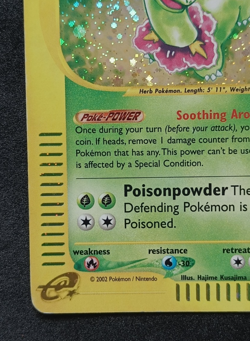 Pokemon TCG Meganium 18/165 Expedition Base Set Holo Rare Card Vintage WOTC - MP - Image 5