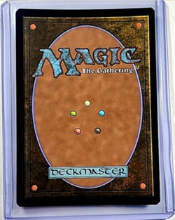 2024 MTG Magic The Gathering PIP Fallout Foil #289 Sheltered Thicket - Image 2