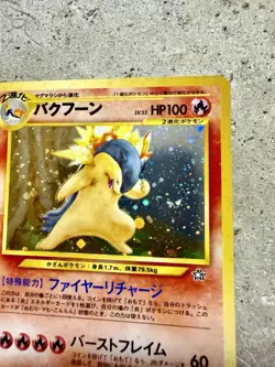 Pokemon Japanese Typhlosion No. 157 Holo Premium File Promo 1999 Vintage Card - Image 4