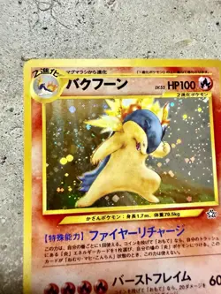 Pokemon Japanese Typhlosion No. 157 Holo Premium File Promo 1999 Vintage Card - Image 5
