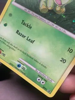 Pokemon TCG Turtwig DP01 Balck Star Promo Diamond and Pearl Holo - Holo Bleed LP - Image 2
