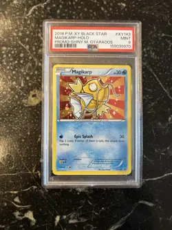 The Pokemon Company Magikarp XY143 XY Black Star Promo Holo English 2016 PSA 9 - Image 1