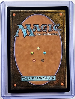 2024 MTG Magic The Gathering PIP Fallout Surge Foil #823 Sungrass Prairie LP - Image 2