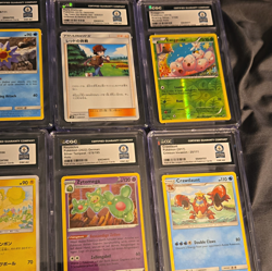 Graded Pokemon TCG Card 23 World Records Cards From Gray Collection - Image 1