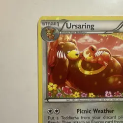 Pokemon - Legendary Treasures - Ursaring RC16/RC25 Radiant Collection Holo LP/NM - Image 2