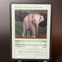 Boreno Pygmy Elephant HOLO 22/100 LIFE TCG Mammals NM -Only 1,500 cards printed - Image 1