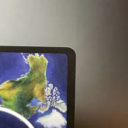 Boreno Pygmy Elephant HOLO 22/100 LIFE TCG Mammals NM -Only 1,500 cards printed - Image 4