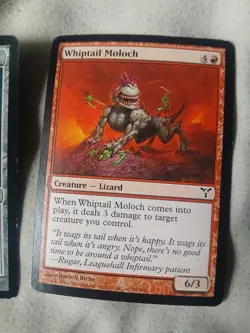 MTG 15-Card Dissension Collection Lot. Magewright's Stone - Magic The Gathering - Image 4