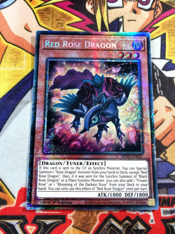 Red Rose Dragon mp25-en037 1st Edition (NEW) Starlight Rare Yu-Gi-Oh! - Image 1