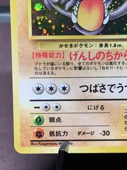 Pokemon TCG Japanese Aerodactyl No. 142 Fossil Set Holo Rare VTG WOTC Era NM - Image 5