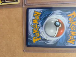 Pokemon TCG Charizard Black Star Promo UPC SWSH260, SwSH261, SWSH262 Full Set - Image 3