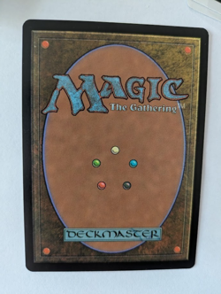 Chinese Poison Arrow Portal 3K MTG NM Free shipping with tracking - Image 2