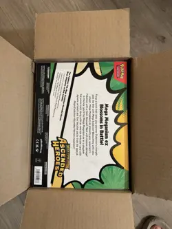 Pokemon TCG Ascended Heroes Meganium Promo Box Case of 6 (2026) 2 box sealed - Image 2