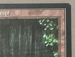 MTG Dual Land Bayou German Black Border FBB Revised Mangrovensumpf Magic - Image 4