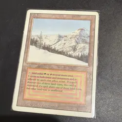 TAIGA WB UNLIMITED Revised dual land MAGIC MTG ENGLISH 1993 Fabuen Magic - Image 1