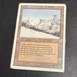 TAIGA WB UNLIMITED Revised dual land MAGIC MTG ENGLISH 1993 Fabuen Magic - Image 2