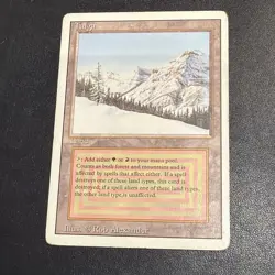 TAIGA WB UNLIMITED Revised dual land MAGIC MTG ENGLISH 1993 Fabuen Magic - Image 3
