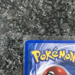 Expedition Base Set Pokemon TCG Squirtle 131/165 NM - Image 5