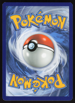 Pokemon TCG - Steam Siege - Dewott 31/114 Reverse Holo - NM - Image 2