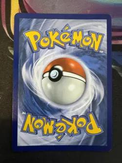 Pokemon TCG Mega Evolution Helioptile 143/132 Illustration Rare Near Mint - Image 4