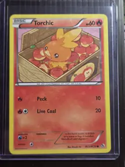 Pokemon TCG Radiant Collection Holo 10-Card Lot English 2016 Pikachu & More - Image 5
