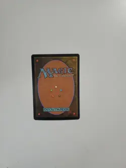MtG FOIL Basic Forest LP x1 - Lorwyn (298) - Image 2