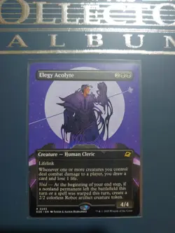 Elegy Acolyte (Borderless) Edge of Eternities Regular - Image 1