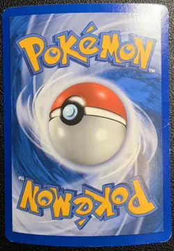Pokemon TCG Cyndaquil Quilava Typhlosion Evolution Family - 4 Card Lot - LP - Image 5