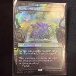 Overgrown Tomb (Borderless) Lorwyn Eclipsed Foil - Image 2