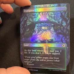 Overgrown Tomb (Borderless) Lorwyn Eclipsed Foil - Image 4