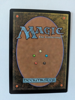 Xun Yu, Wei Advisor Portal 3K MTG NM Free shipping with tracking - Image 2