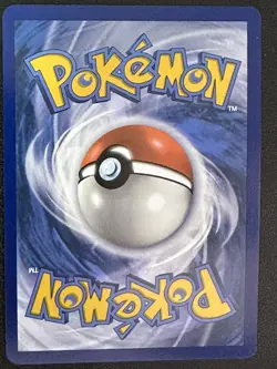 Pokemon TCG Fidough - SV: Scarlet & Violet Promo Cards 069 Promo - Image 2